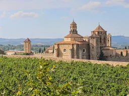 Wijnbouw rond het klooster van Poblet